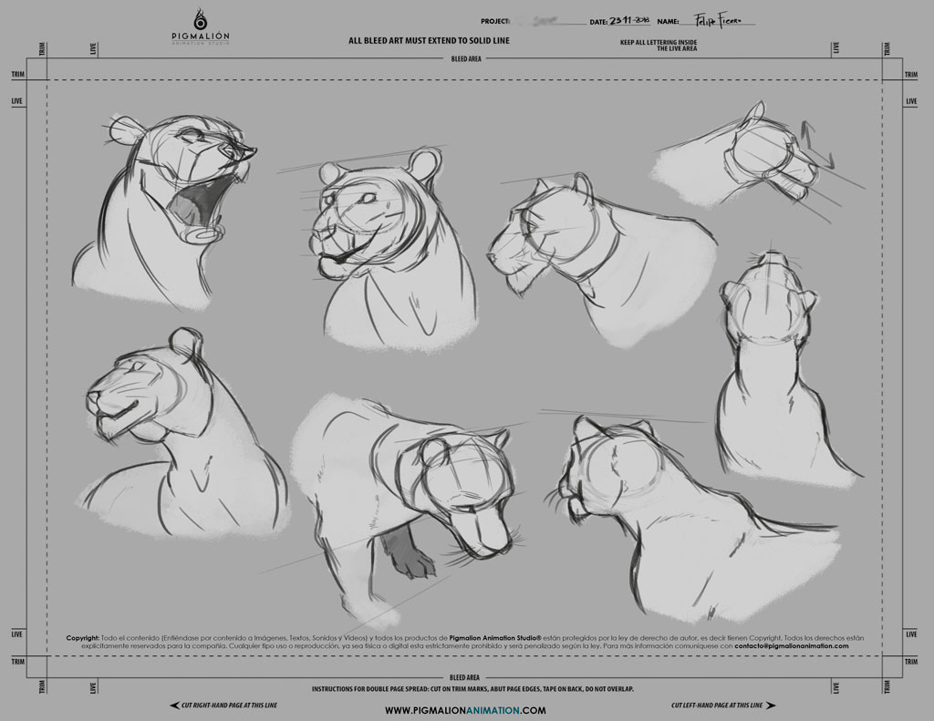 pigmalion animation studio