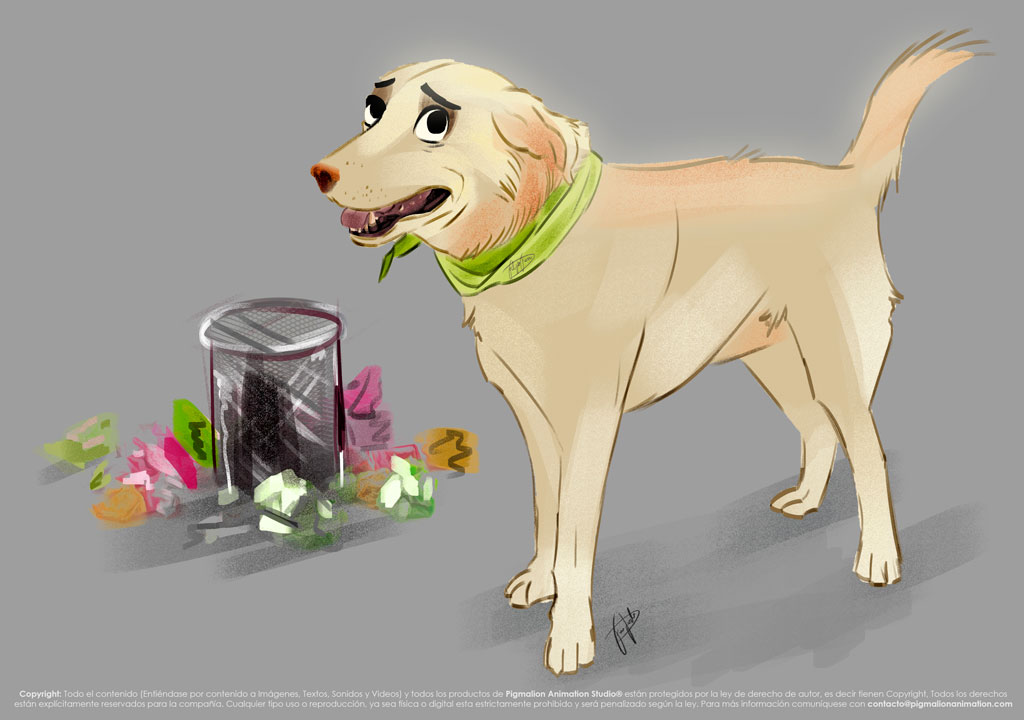 pigmalion animation studio