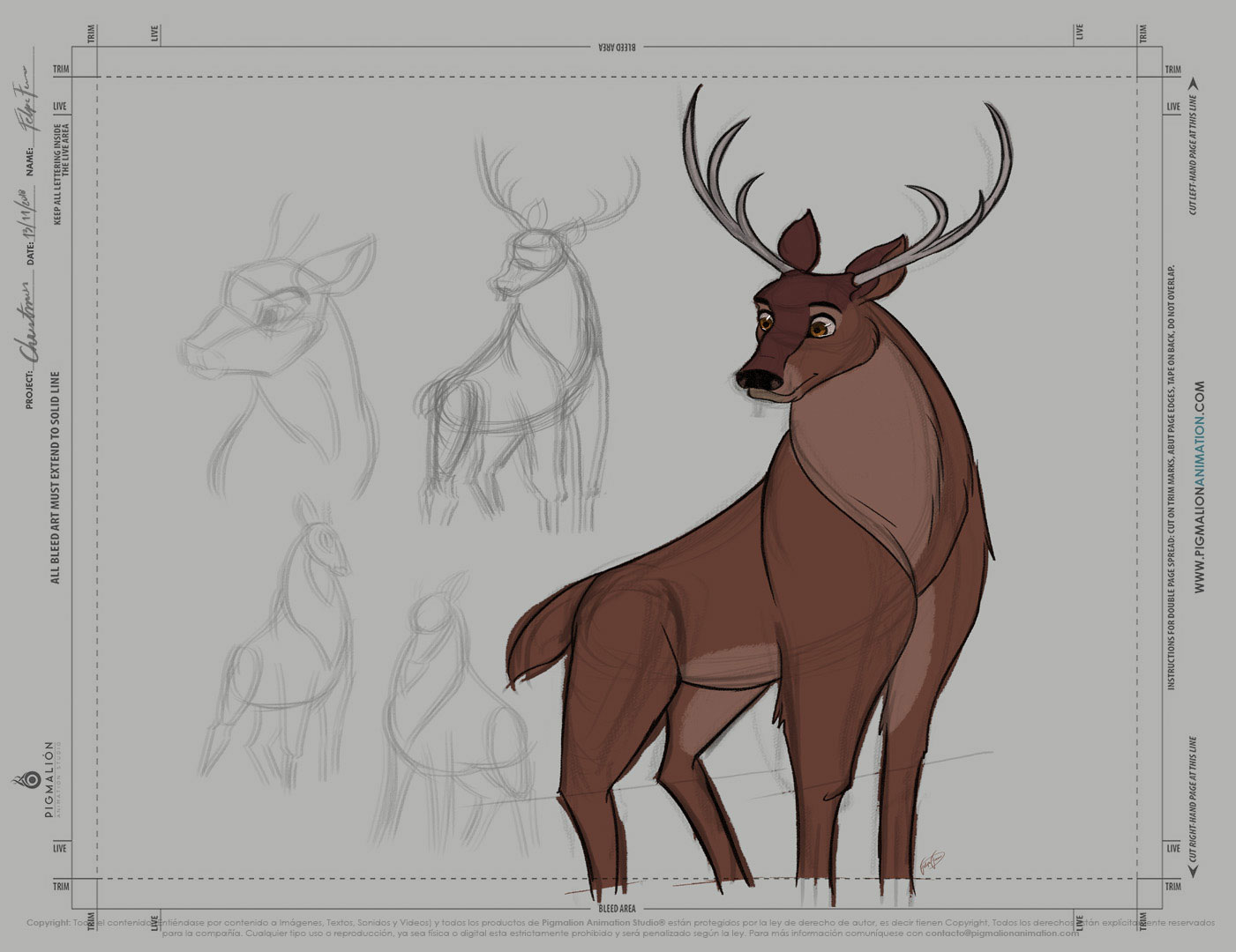 pigmalion animation studio