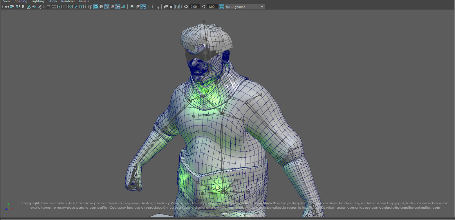 pigmalion animation studio