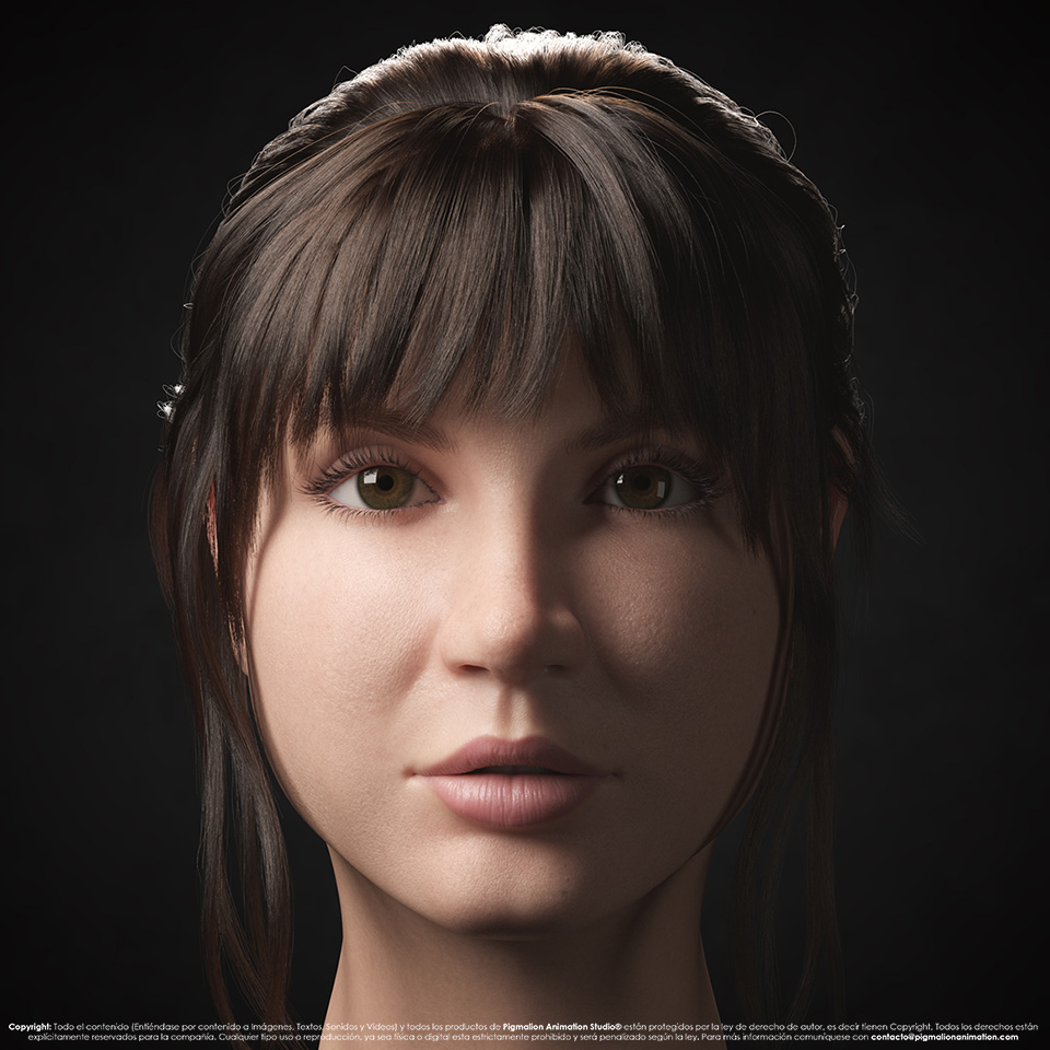 pigmalion animation studio