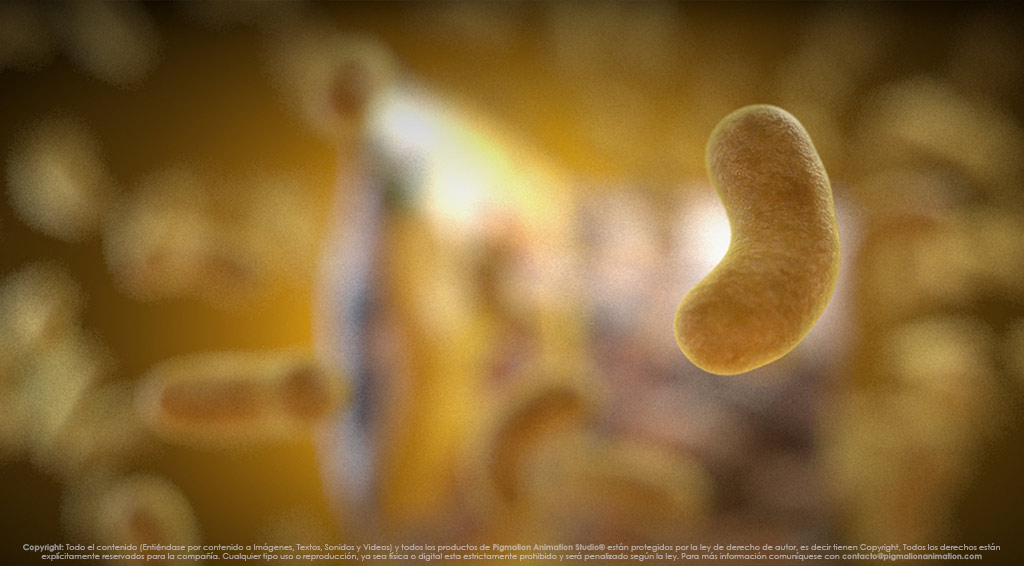 pigmalion animation studio